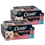 Cesar Classic Loaf in Sauce – Real Meat First Wet Food for Picky Eater Recovery and Routine Feeding, 36 Single-Serve Trays
