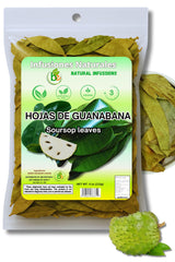 Guanábana Hojas Mexican Herbal Tea – Effortless Caffeine-Free Brew for a Minimalist Tea Corner