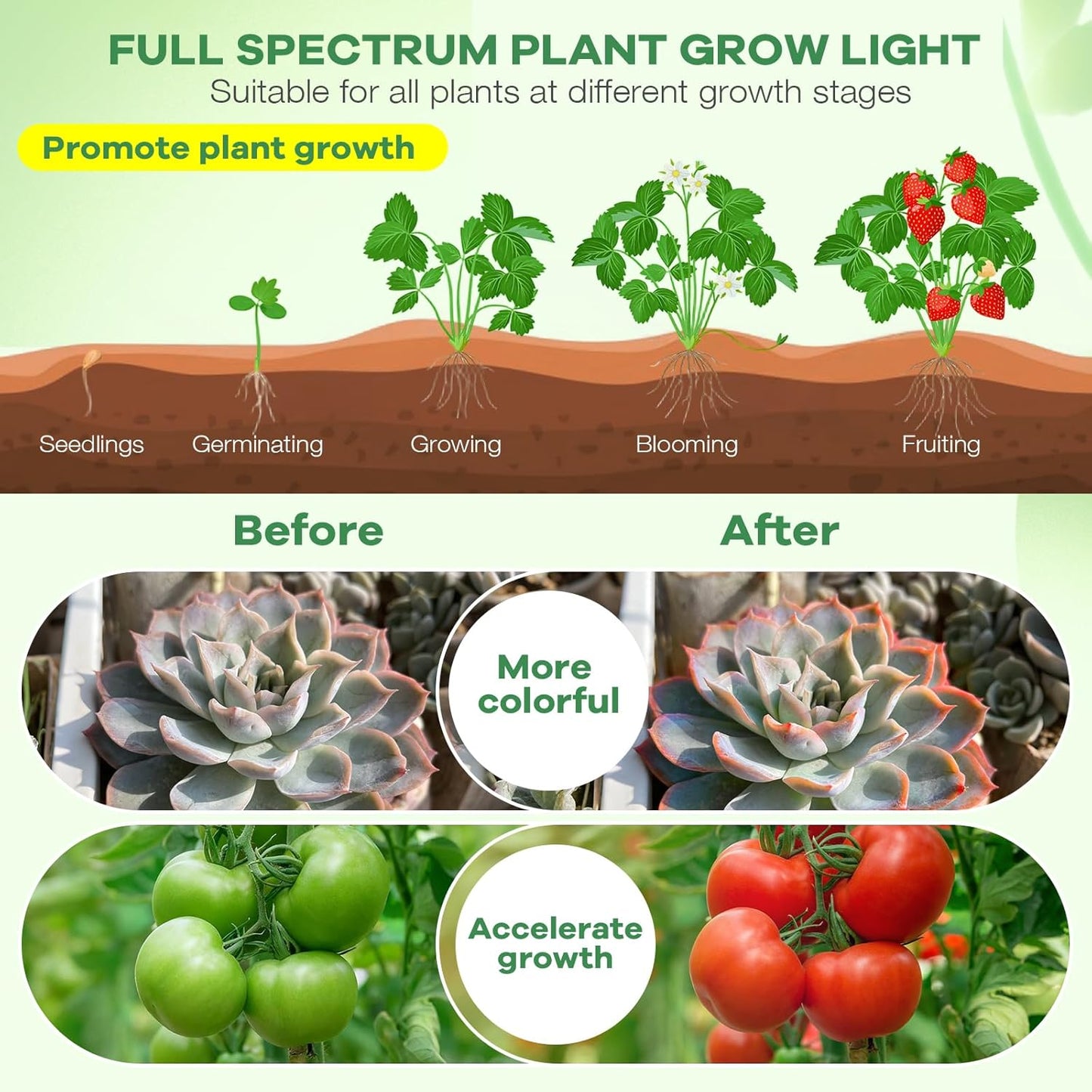SANSI Dimmable Grow Lamp – Warm Aesthetic Lighting for Houseplant Displays and Reading Nooks