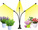 bseah Plant Grow Light – Productivity Boost for Workspace, Dimmable Indoor Plant Lamp for Home Office Desk