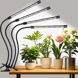 Domus Botanix Indoor Grow Light – Task Light for Plant Corners Behind the Standing Desk