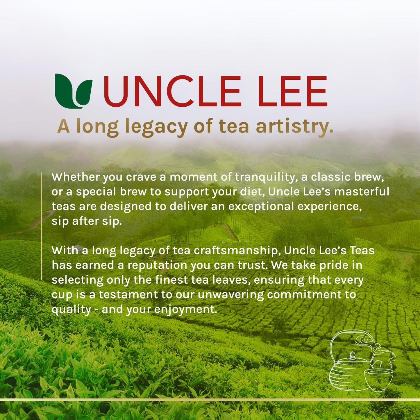 Uncle Lee's Organic Matcha Green Tea Bags – Light Caffeine Herbal-Style Drink for Mindful Living and Inner Calm