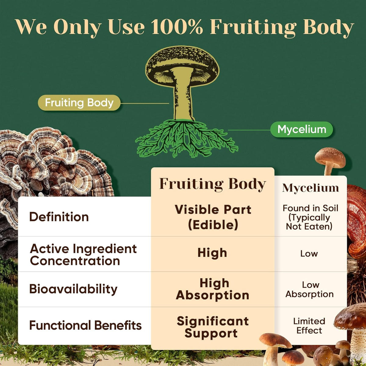Venture Pal Mushroom Adaptogen Formula – Streamlined, Non-GMO Daily Stack for a Less-Is-More Supplement Shelf