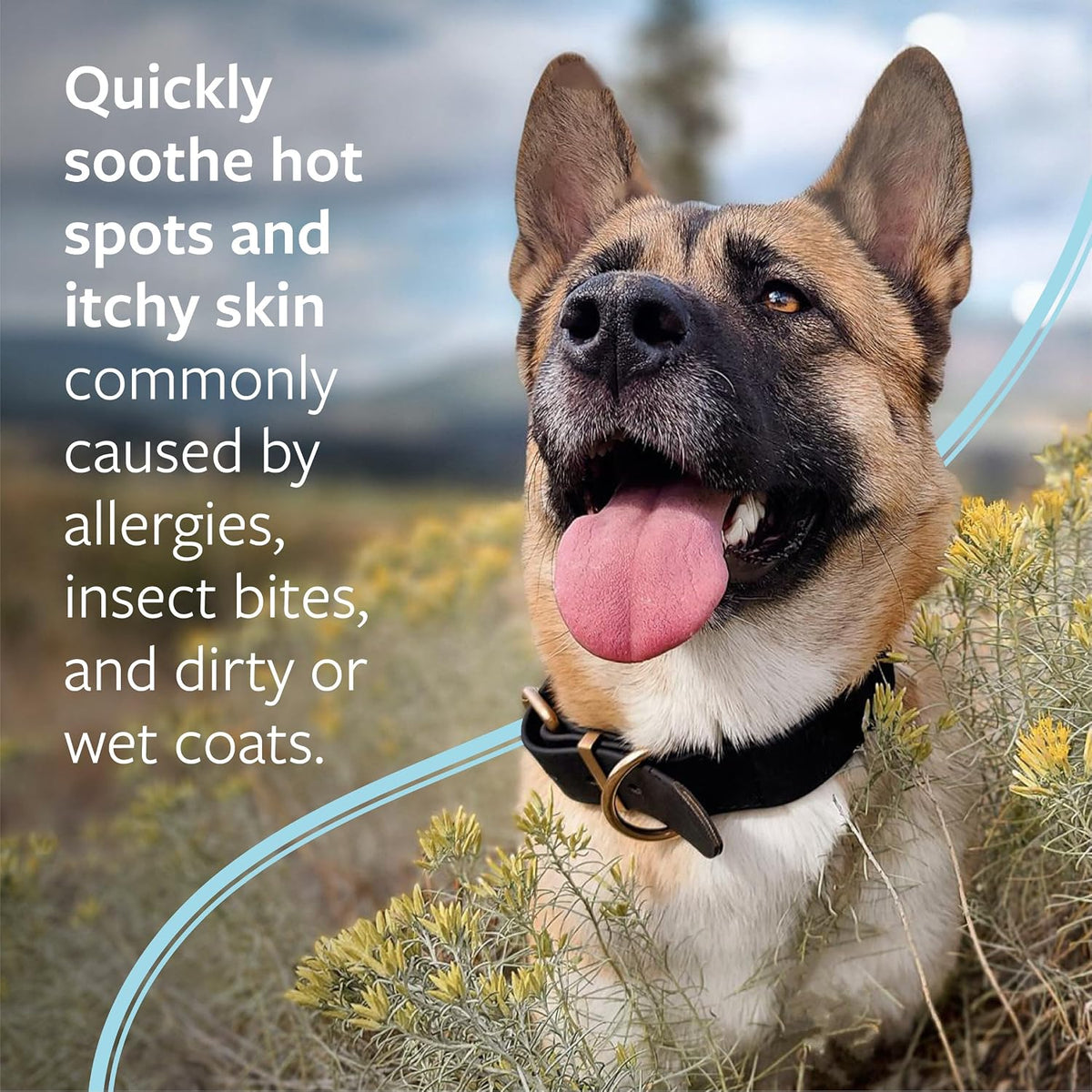 8 fl oz topical spray format for targeted, no-rinse application