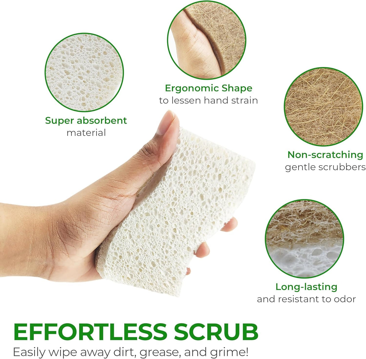 AIRNEX Plant-Based Kitchen Sponge for Homes with Kids, Biodegradable Non-Scratch Dish Cleaner