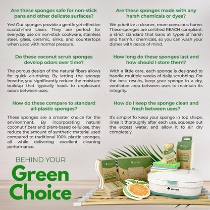 AIRNEX Plant-Based Kitchen Sponge for Homes with Kids, Biodegradable Non-Scratch Dish Cleaner