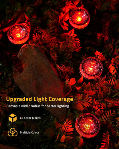 Aoycocr Minimalist Pathway Lights – Simple Stake Installation for Intentional, Uncluttered Yards