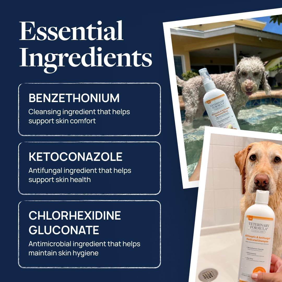 available as standalone spray, 2-pack spray, gallon shampoo, single shampoo, shampoo 2-pack, all-in-one bundle, and combination formula for routine customization
