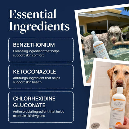 available as standalone spray, 2-pack spray, gallon shampoo, single shampoo, shampoo 2-pack, all-in-one bundle, and combination formula for routine customization