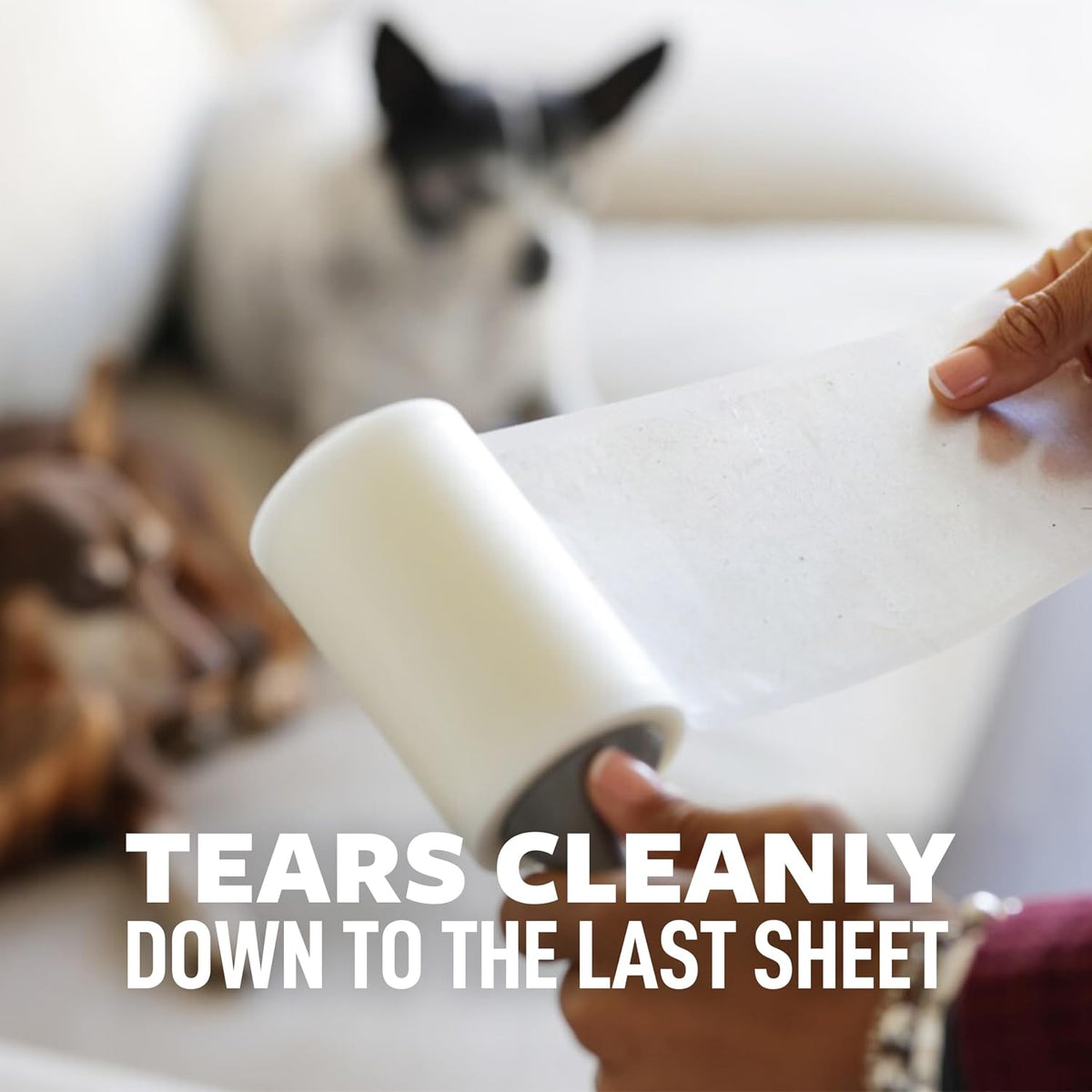 available in 1 roller, 2 roller, and 4-pack configurations for varying household needs