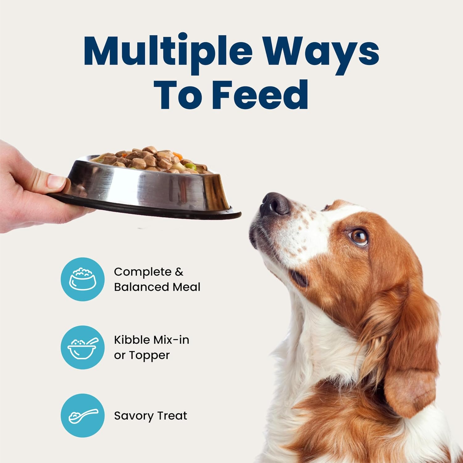 Blue Buffalo Blue's Stew Variety Pack, Elevated Wet Food Experience with Whole Vegetables and Visible Protein Chunks