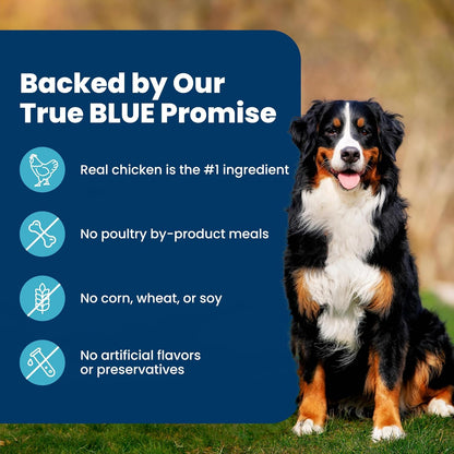 Blue Buffalo Life Protection Chicken & Brown Rice Adult Dog Food – Trusted Clean-Ingredient Kibble for Sensitive Stomachs, 30 lb