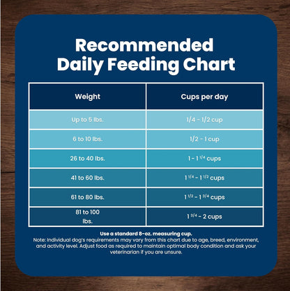 Blue Buffalo Life Protection Senior Small Breed Dry Dog Food – Trusted Feeding Choice With Antioxidant-Rich LifeSource Bits, 15 lb