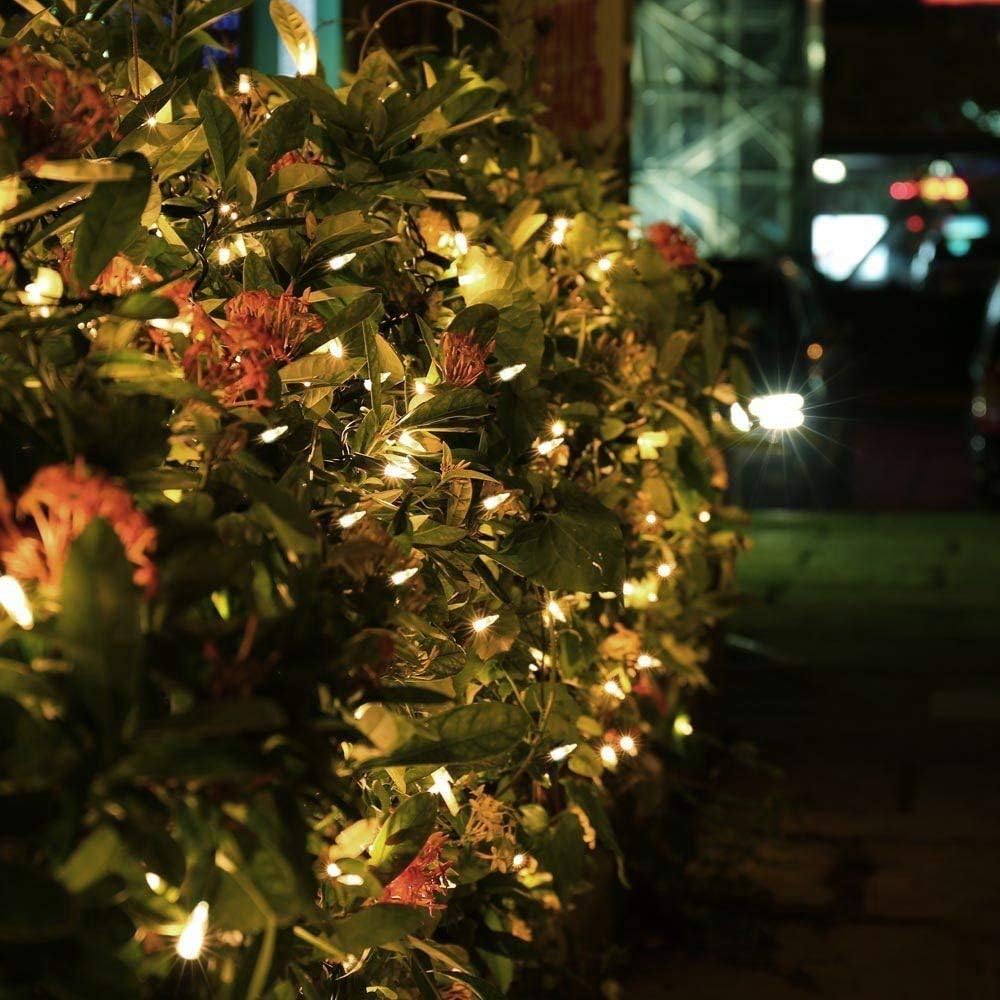Brizled Connectable LED Lights – Heavy-Duty Holiday String for Fence, Hedge, and Garden Walkway Display