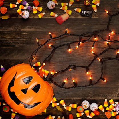Brizled Halloween Lights – Nursery and Playroom Safe Decoration, Cool-to-Touch Incandescent Mini Bulbs