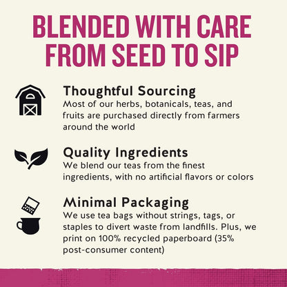 Celestial Seasonings Sleepytime Echinacea Herbal Tea – Cozy Care Package Gift for Mom and Friends