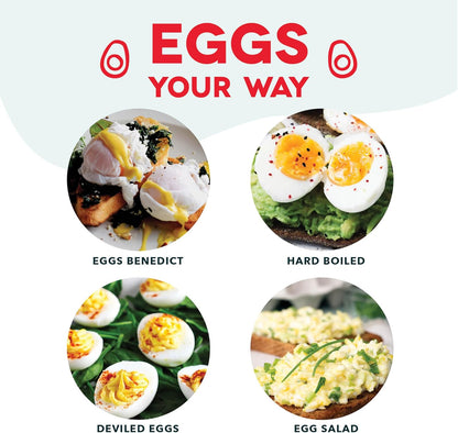 Dash Rapid Egg Cooker – Practical College Send-Off Gift for Students Moving Into a Dorm