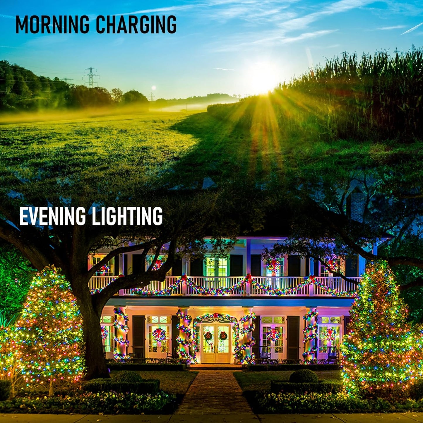 Dazzle Bright Fairy Lights – Pet and Kid Friendly Solar Decor, No Flame and No Hot Bulbs