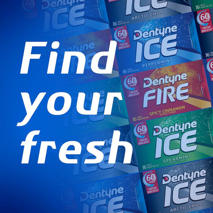 Dentyne Ice Winter Chill Sugar-Free Chewing Gum – Diabetic-Friendly Sugar-Free Mint for Mindful Snacking