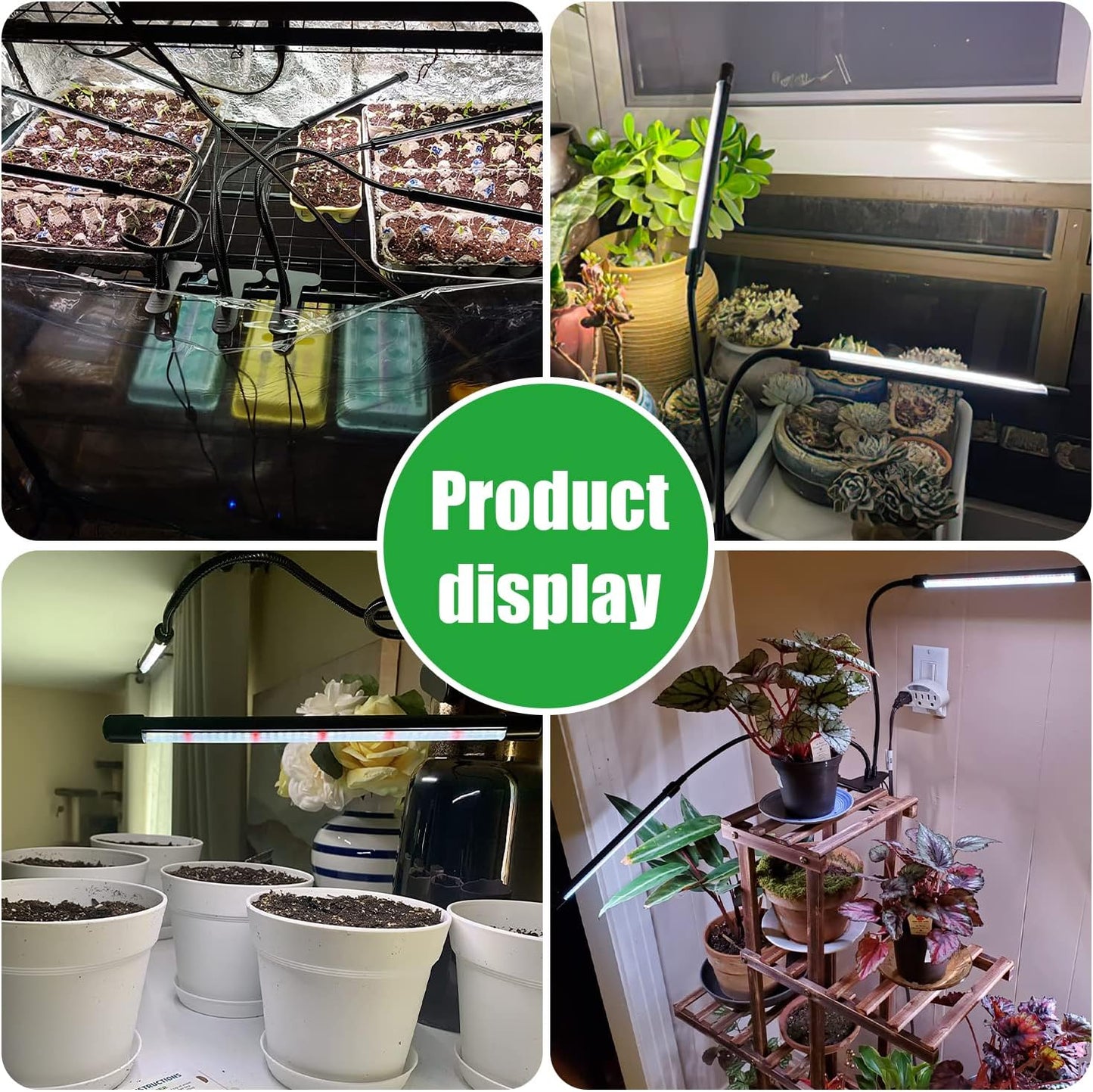 Domus Botanix Indoor Grow Light – Task Light for Plant Corners Behind the Standing Desk