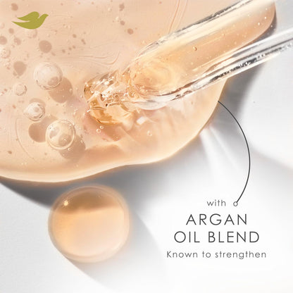 Dove Argan Oil & Repair Shampoo – Calming Haircare Treatment for Stress-Damaged Fine Hair, 12 Fl Oz