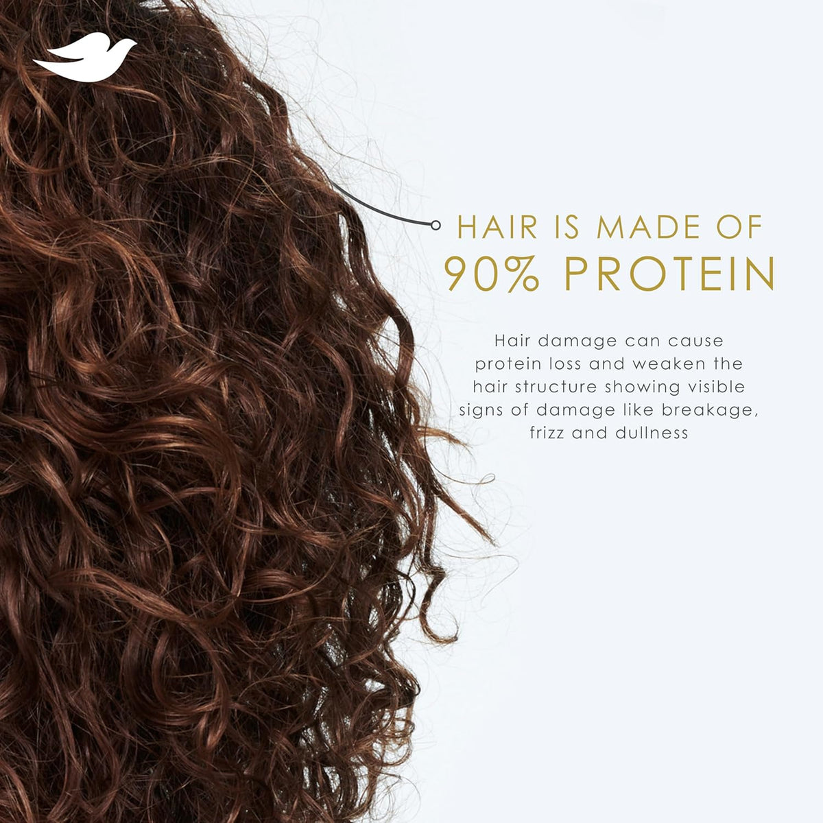 Dove Argan Oil & Repair Shampoo – Calming Haircare Treatment for Stress-Damaged Fine Hair, 12 Fl Oz