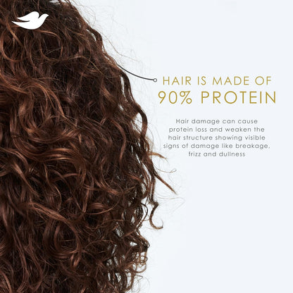 Dove Argan Oil & Repair Shampoo – Calming Haircare Treatment for Stress-Damaged Fine Hair, 12 Fl Oz