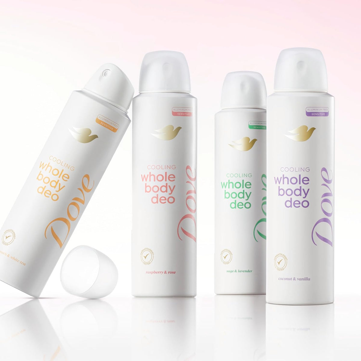 Dove Whole Body Deodorant Raspberry & Rose Long-Lasting Fragrance Spray for Stress Relief and Mood Setting