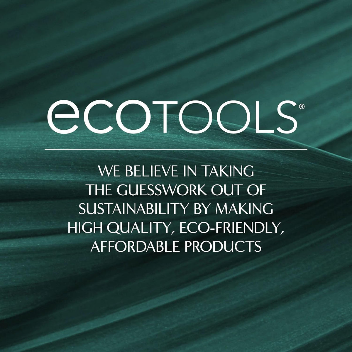 EcoTools Dry Body Brush – Housewarming Gift for Wellness Lovers, Sustainable Bamboo Exfoliating Brush with Compostable Packaging