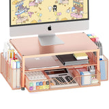 WorkLouder Powder-Coated Monitor Lift – Feminine Office Decor Piece in Rose Gold and Pastel Tones