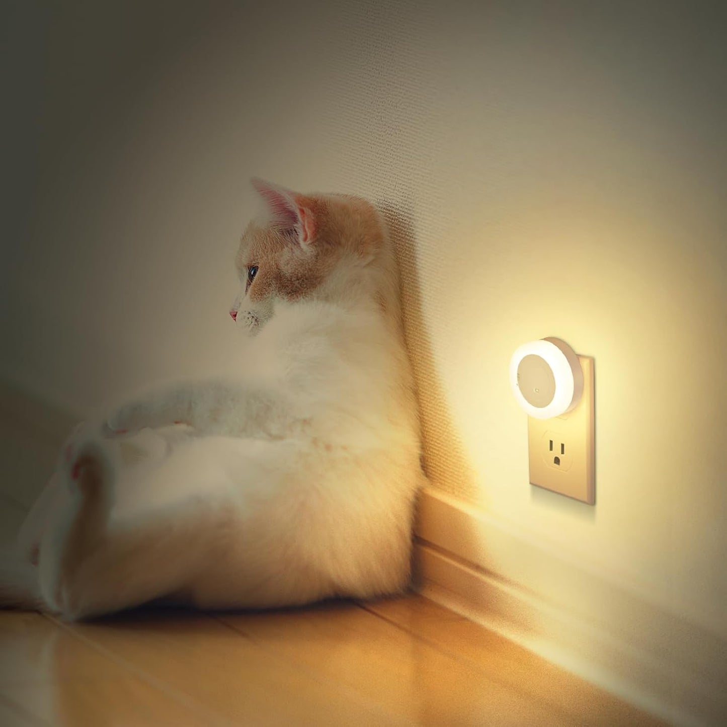 FOLKSMATE Nightlight Plug in – Decorative Bedroom and Living Room Accent Light, 2 Color Variants
