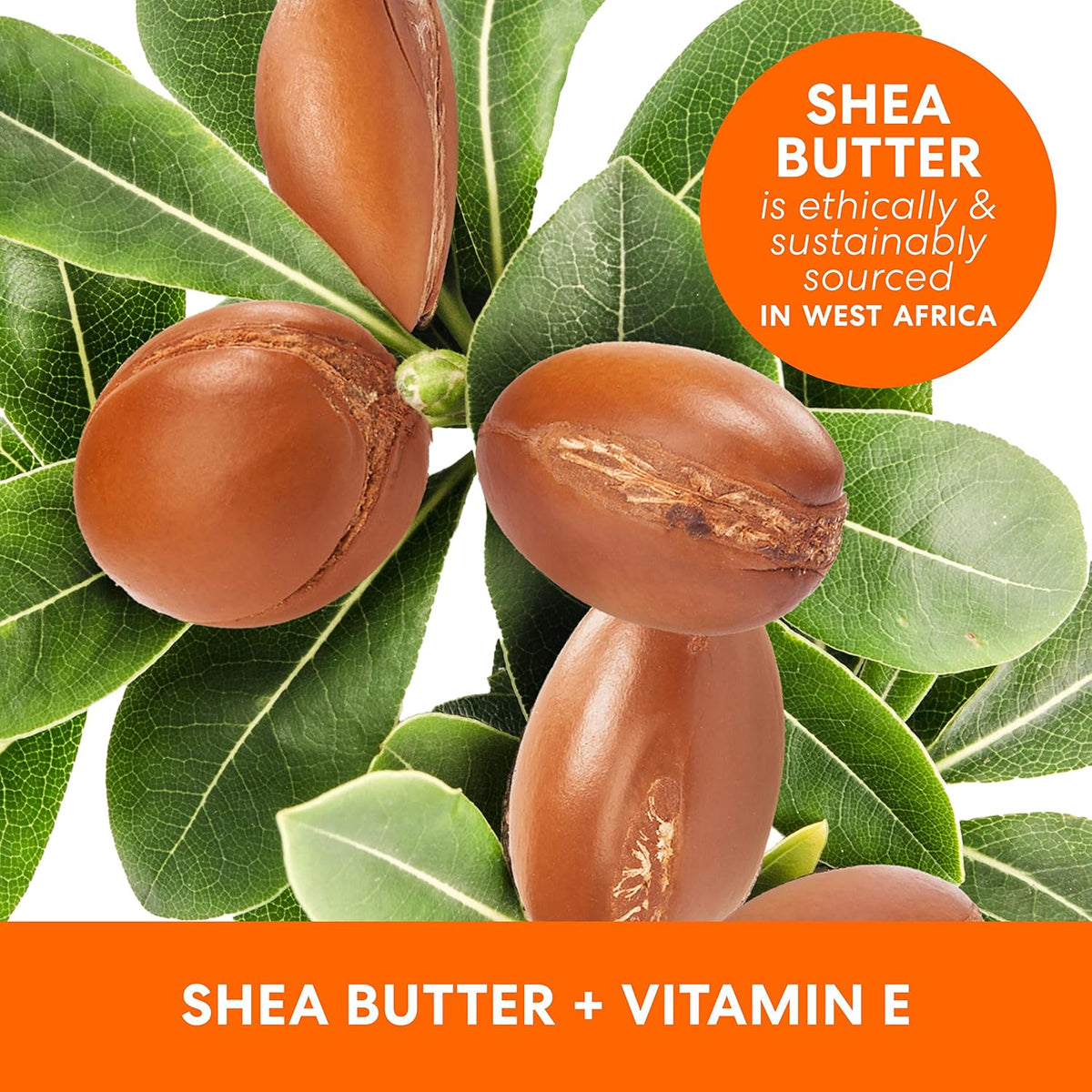 free-from formulation: no mineral oil, parabens, phthalates, or dyes