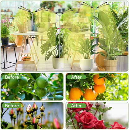 Full Spectrum Grow Light – Minimalist Home Decor Plant Lamp for Living Room Corners