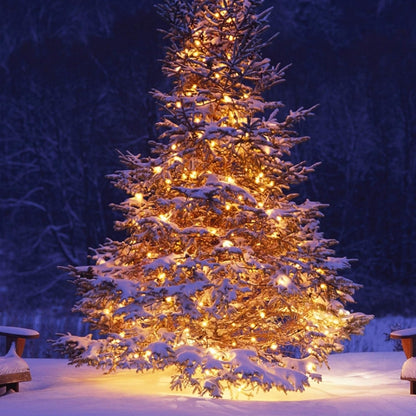 FUNPENY Holiday Gift Fairy Lights – Christmas Present for Mom and Friends, 8 Modes Battery LED