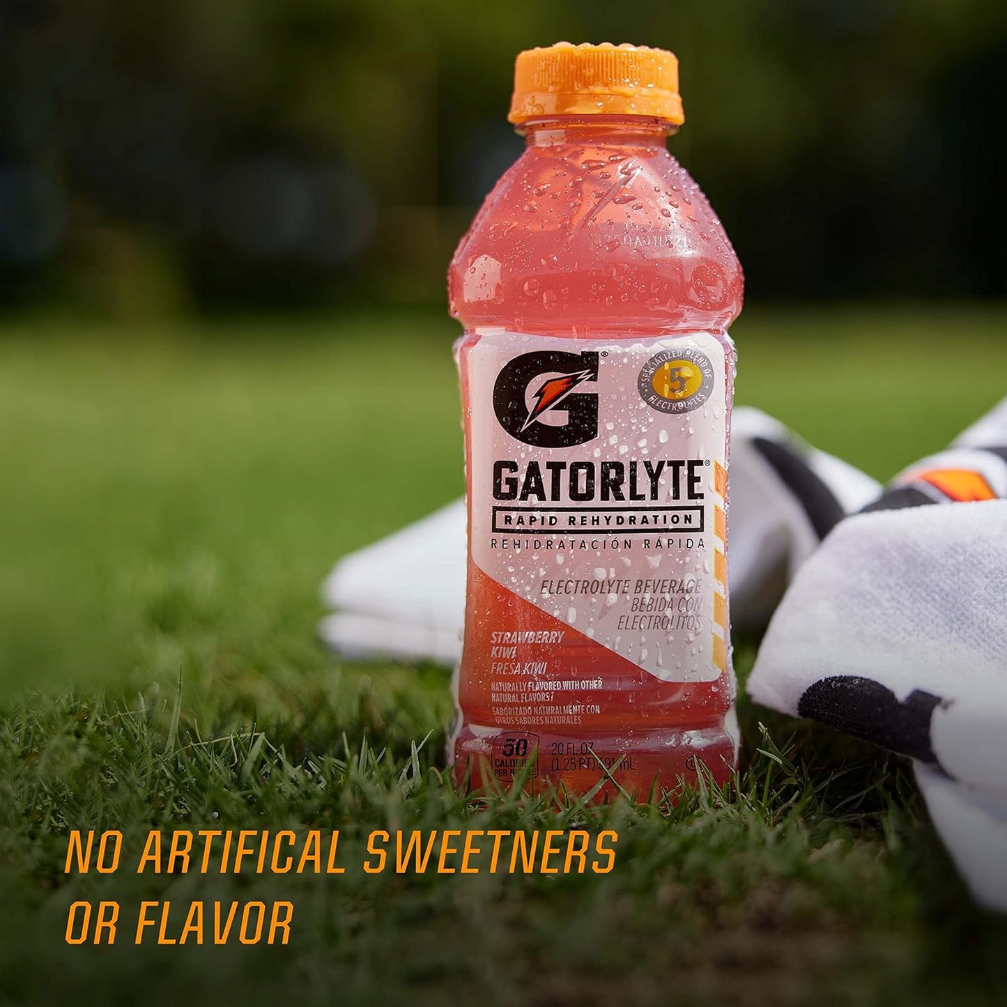 Gatorlyte Electrolyte Beverage – Recovery Hydration for Hangover and Sickness Days, Balanced Electrolyte Pack of 12