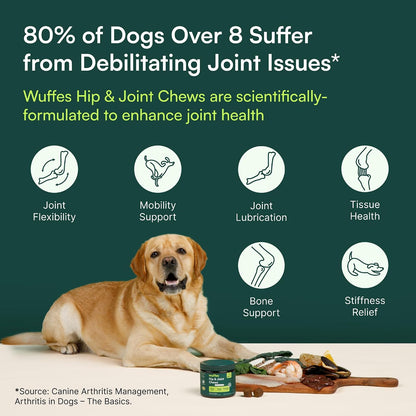 Glucosamine Chews for Running and Hiking Dogs – Joint Protection on the Trail