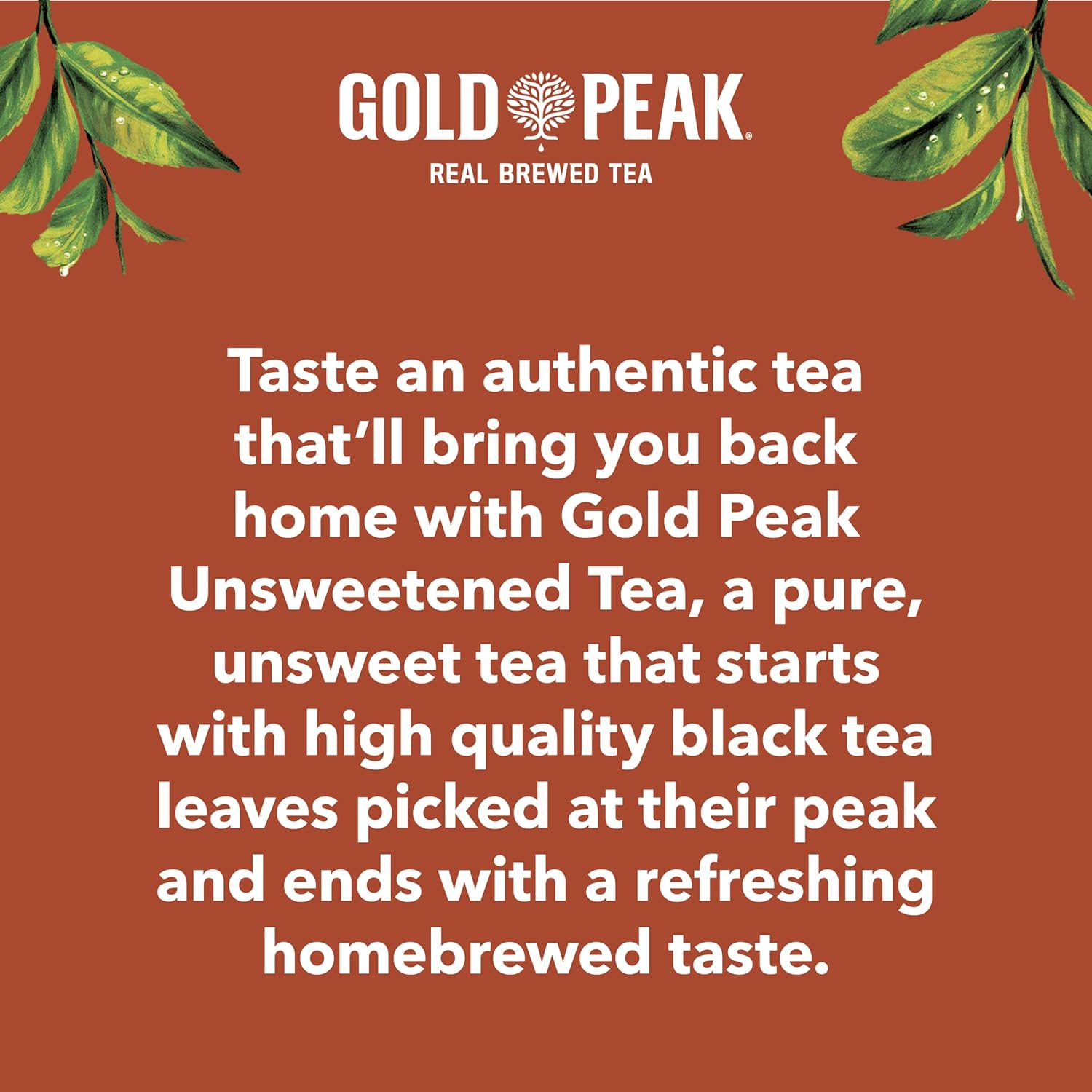 Gold Peak Real Brewed Tea – Guilt-Free Afternoon Refreshment for Health-Conscious Drinkers, 16.9 fl oz 6 Pack