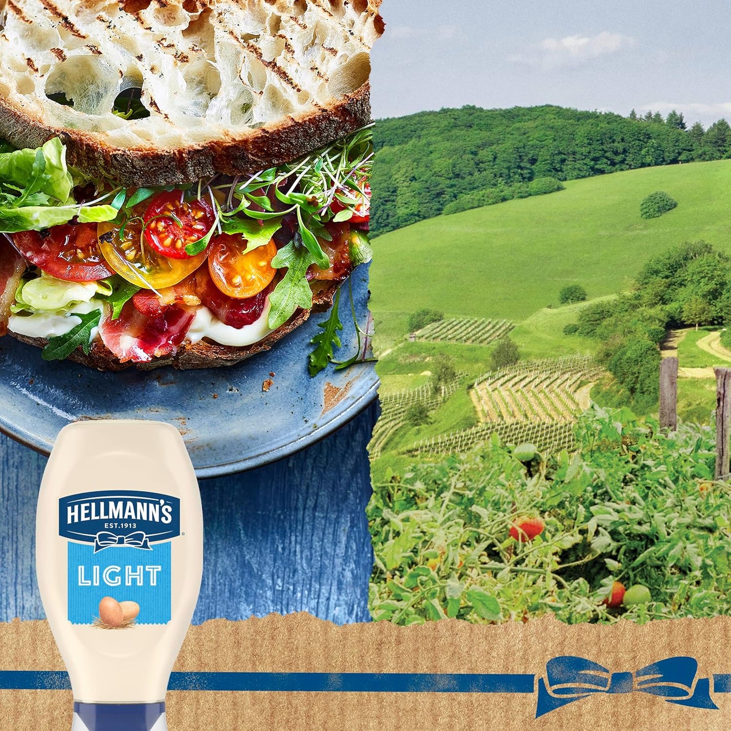 Hellmann's Light Mayonnaise Squeeze Bottle – Family-Sized Creamy Spread for Kid Snacks, Sandwiches, and Quick Meals