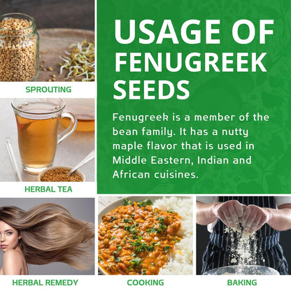 Jiva Organic Fenugreek Seeds 7 Ounce – Sproutable Methi Seeds for Holistic Wellness Teas, Fenugreek Water & Inner Balance