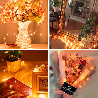 LumNest Twinkle Lights – Gift Idea for Sister and Best Friend, Remote 8 Mode Decor