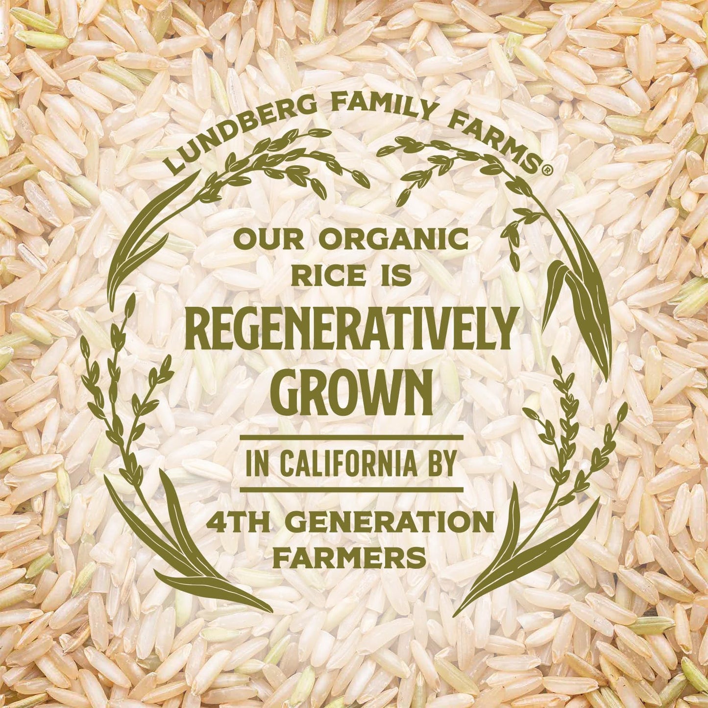 Lundberg Brown Basmati – Sift-Free Organic Rice with No Debris or Foreign Objects