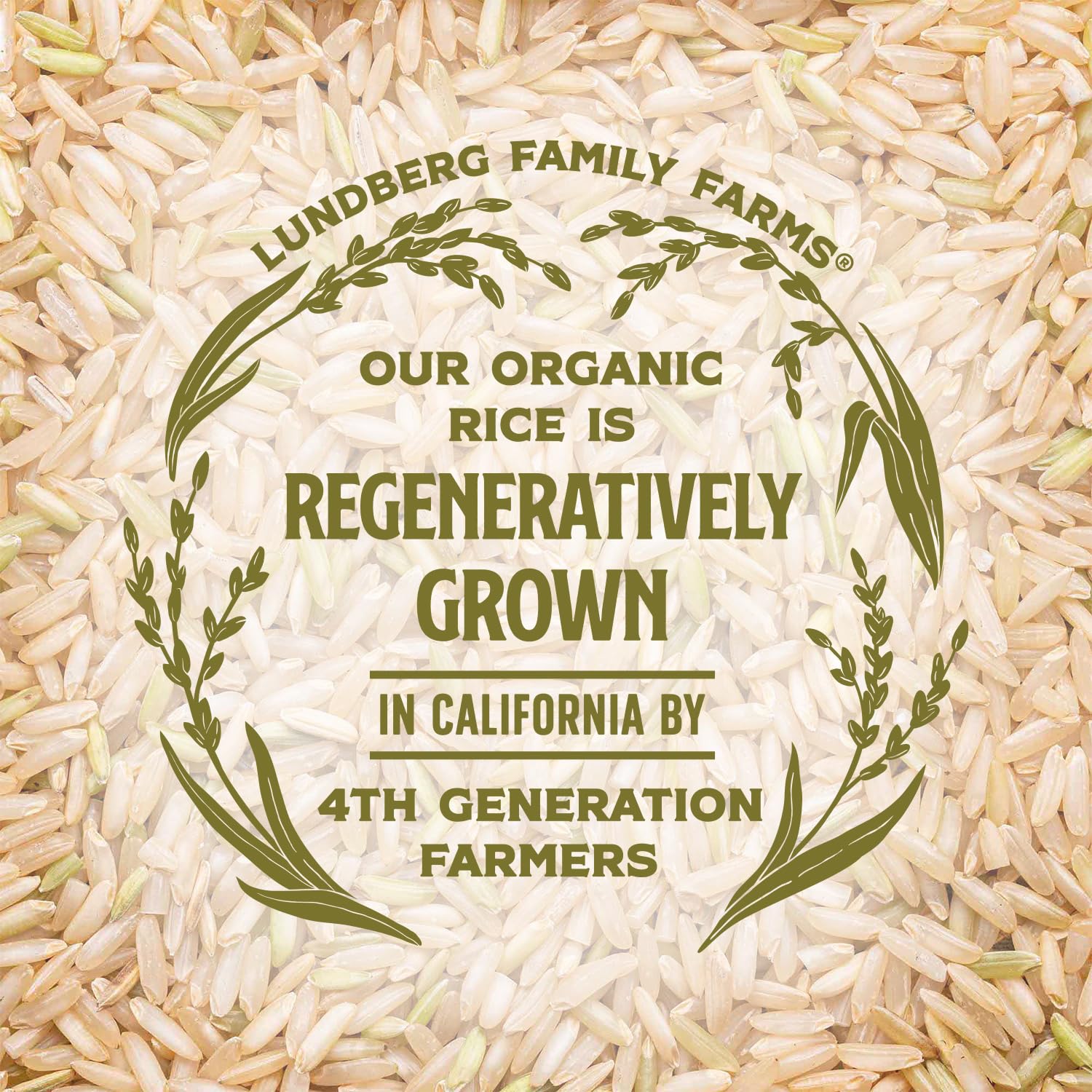 Lundberg Brown Basmati – Sift-Free Organic Rice with No Debris or Foreign Objects