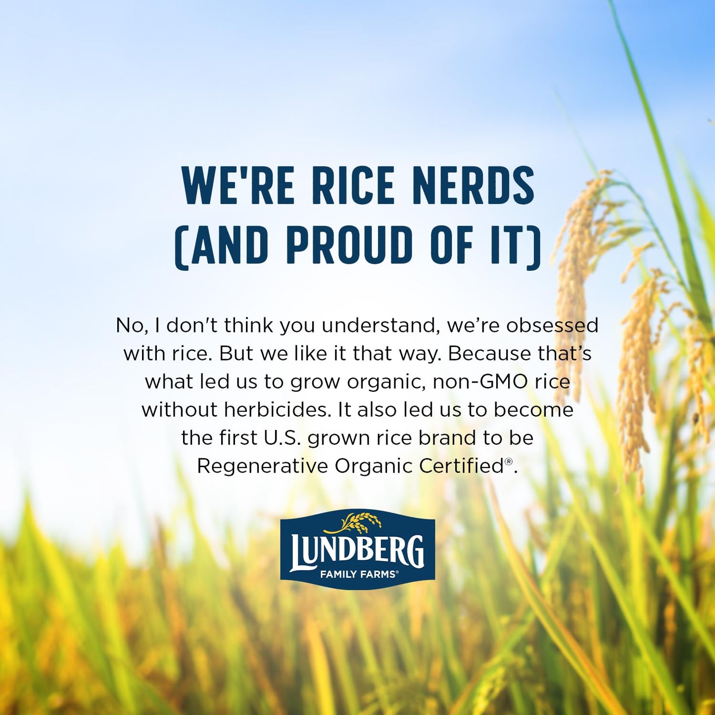Lundberg Brown Basmati – Sift-Free Organic Rice with No Debris or Foreign Objects