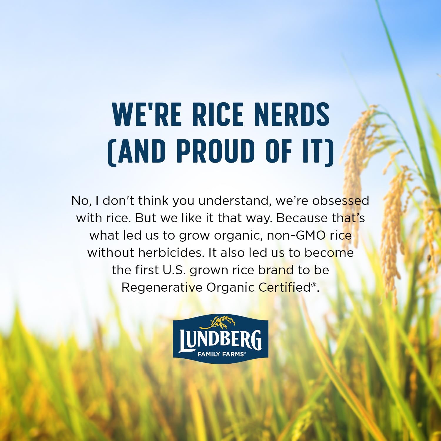 Lundberg Brown Basmati – Sift-Free Organic Rice with No Debris or Foreign Objects