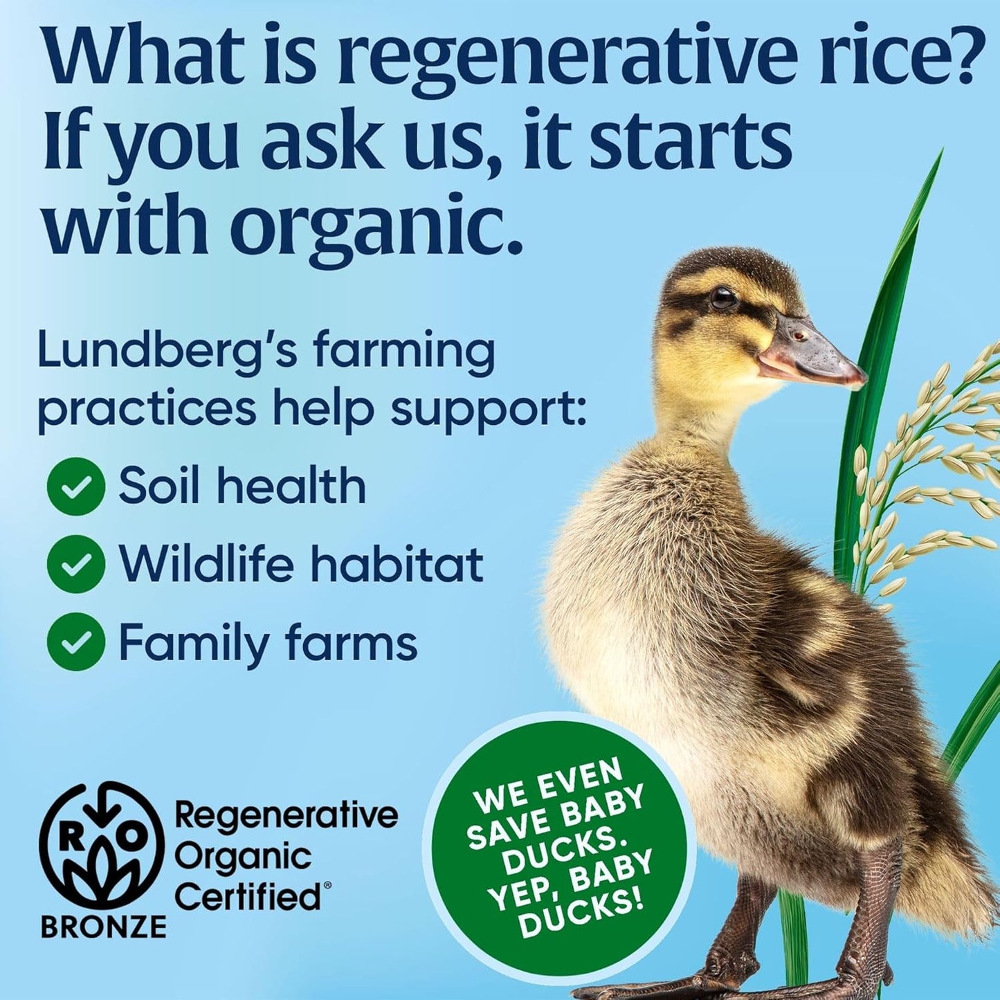 Lundberg Regenerative Organic Rice for Streamlined Meal Prep