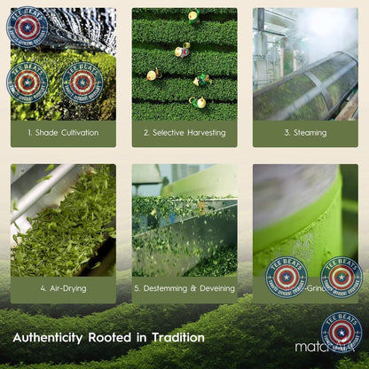 MatchAiA Matcha Powder – Jitter-Free Coffee Alternative for Deep Work and Study Sessions