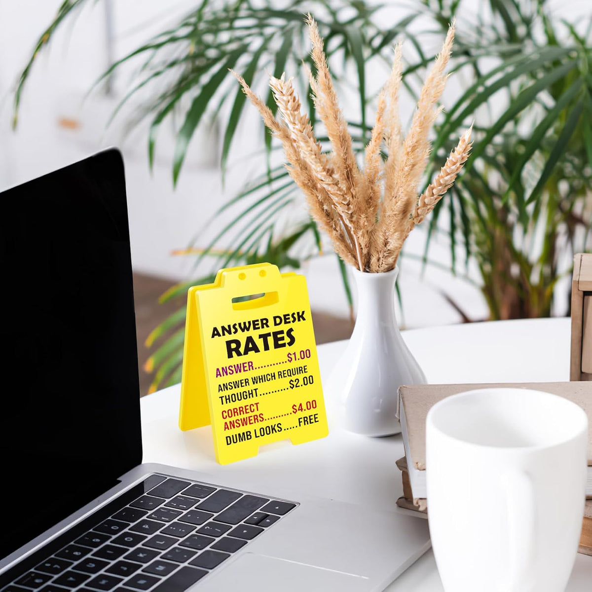 MBL Humorous Boundary Sign – Quick Visual Cue for Remote Worker Home Office and Meeting Room