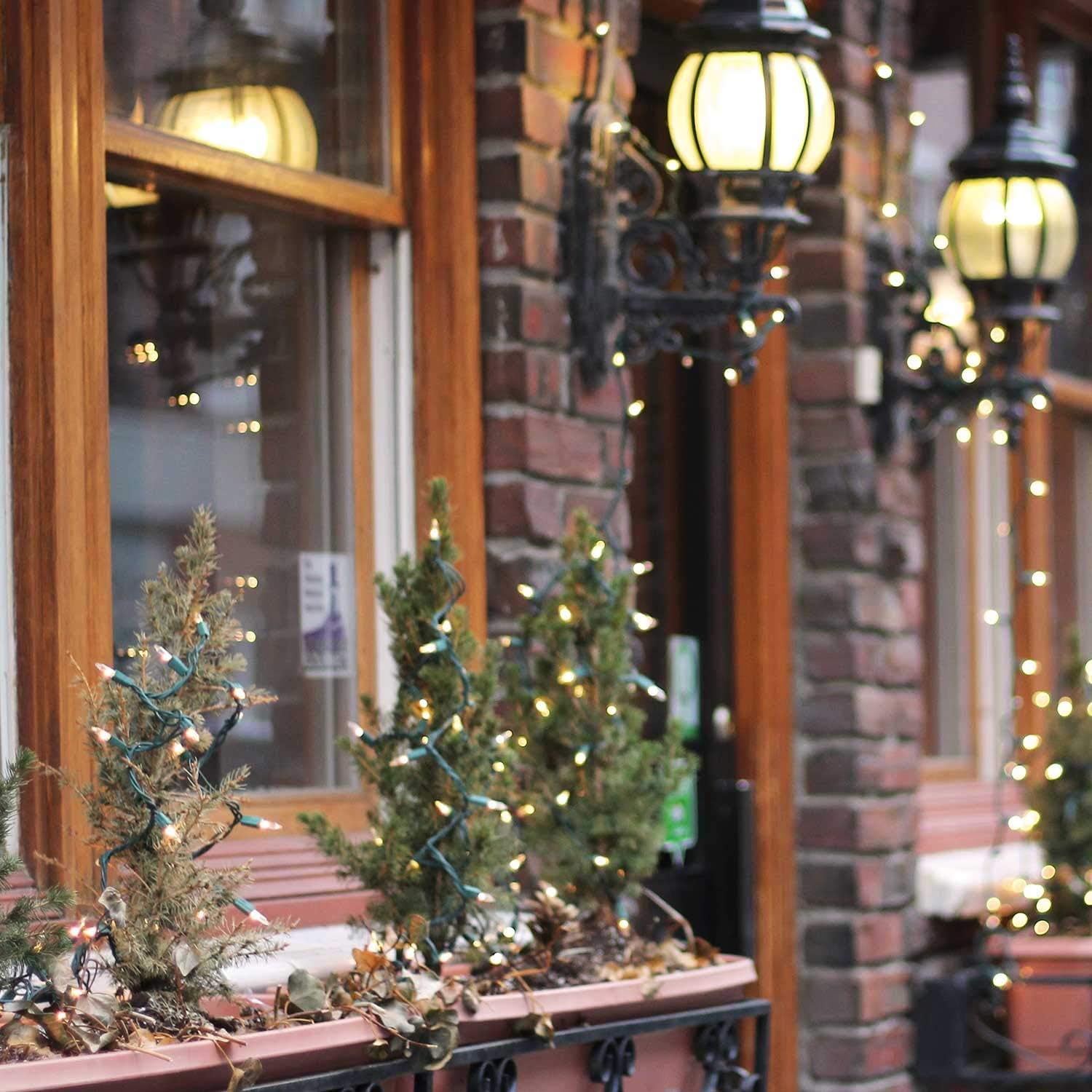 Minetom Clear Mini Christmas Lights 200 Bulbs for Indoor Tree and Cozy Home Atmosphere, 51.7ft Green Wire