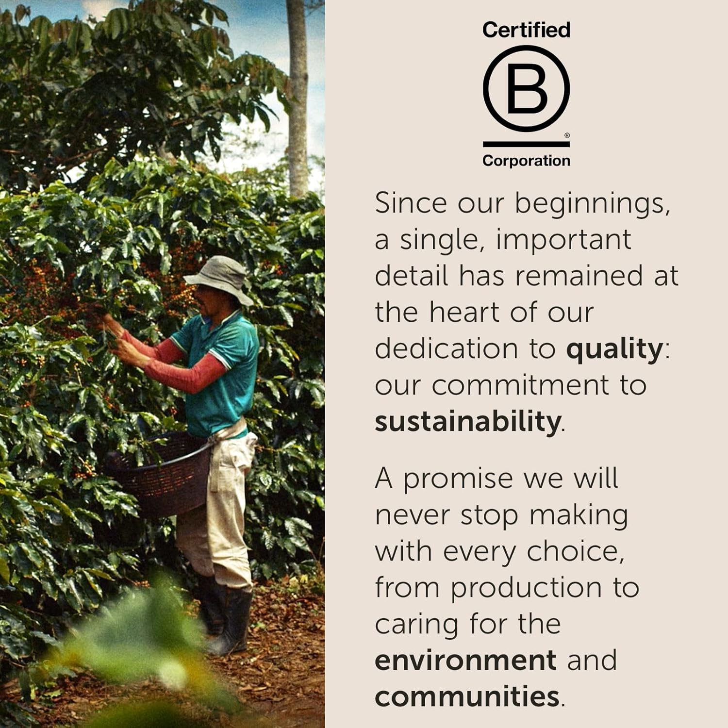 multi-pack formats (pack of 1, 6, 12) plus curated variety packs (classico/intenso, classico/decaf, 12-can sampler)