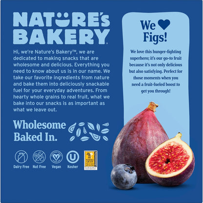 Nature's Bakery Blueberry Fig Bars - Camping and Backpacking Snack for On-The-Go Fuel, Whole Wheat